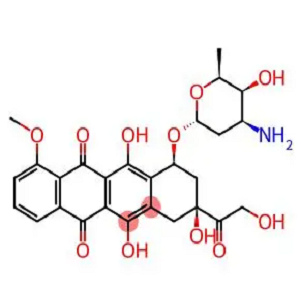 CY5-阿霉素，CY5-DOX