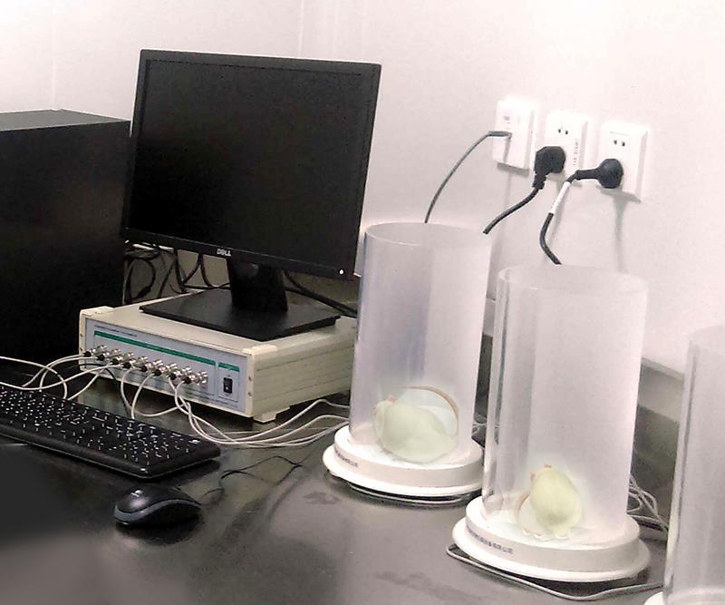 疼痛自分析系统 (2).jpg