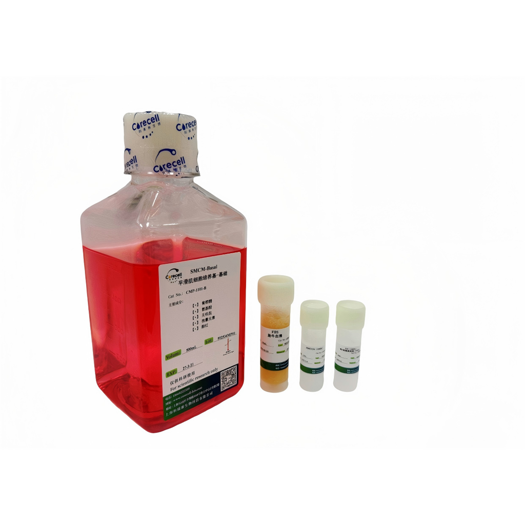 平滑肌细胞培养基（SMCM）