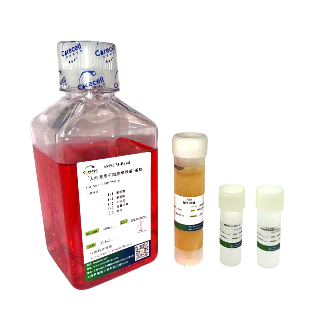 人间充质干细胞培养基（hMSCM）