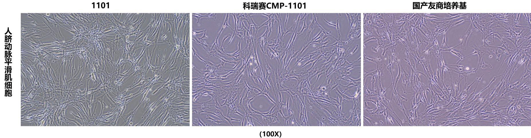 微信图片_20260404215209_1731_335.jpg 微信图片_20260404215209_1731_335.jpg