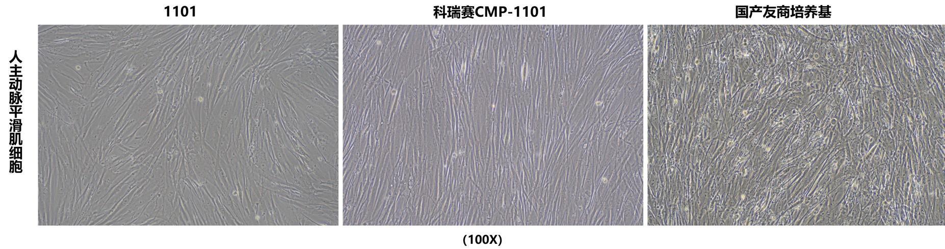 微信图片_20260404215433_1732_335.jpg 微信图片_20260404215433_1732_335.jpg
