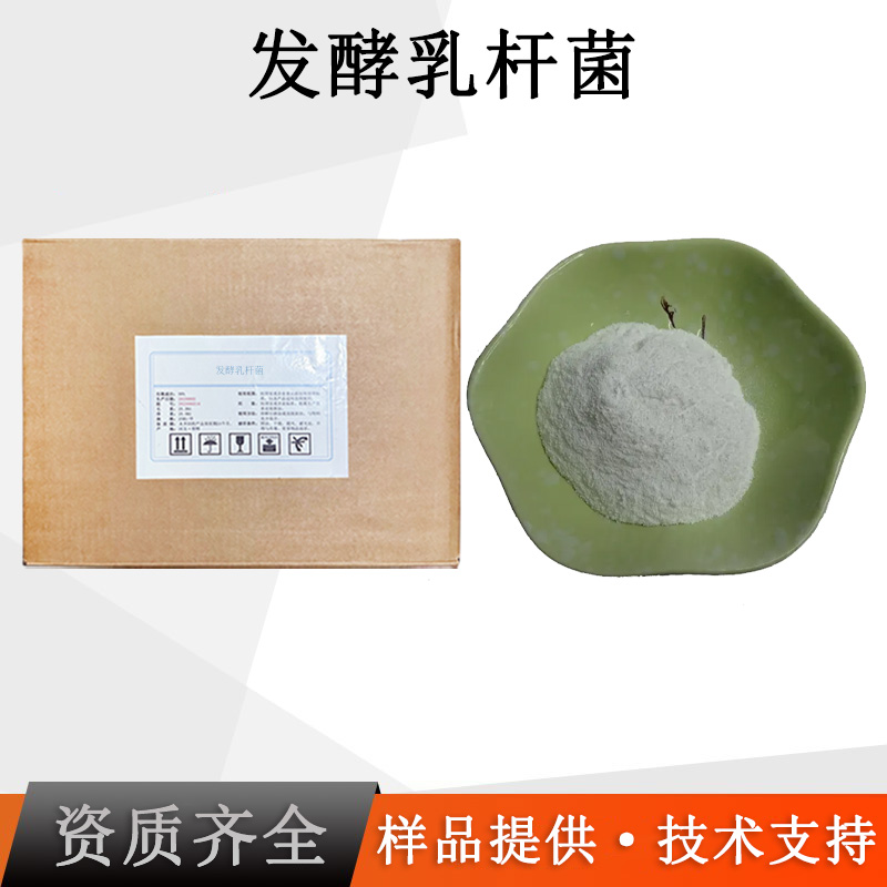 发酵乳杆菌厂家