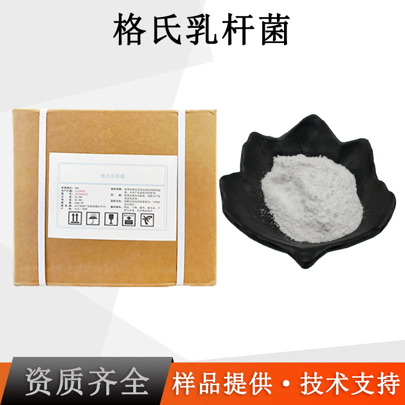 格氏乳杆菌厂家