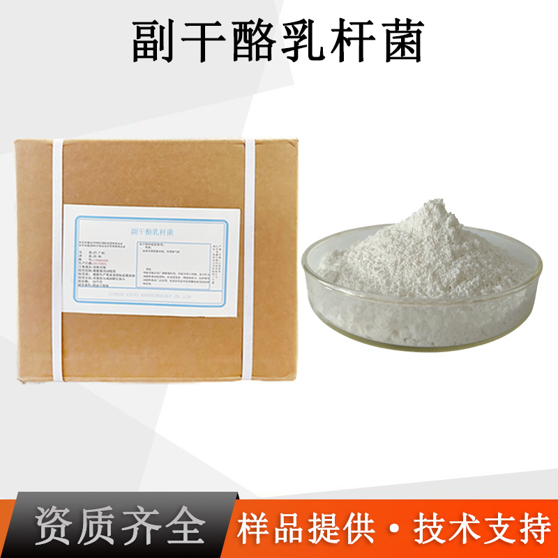 副干酪乳杆菌厂家