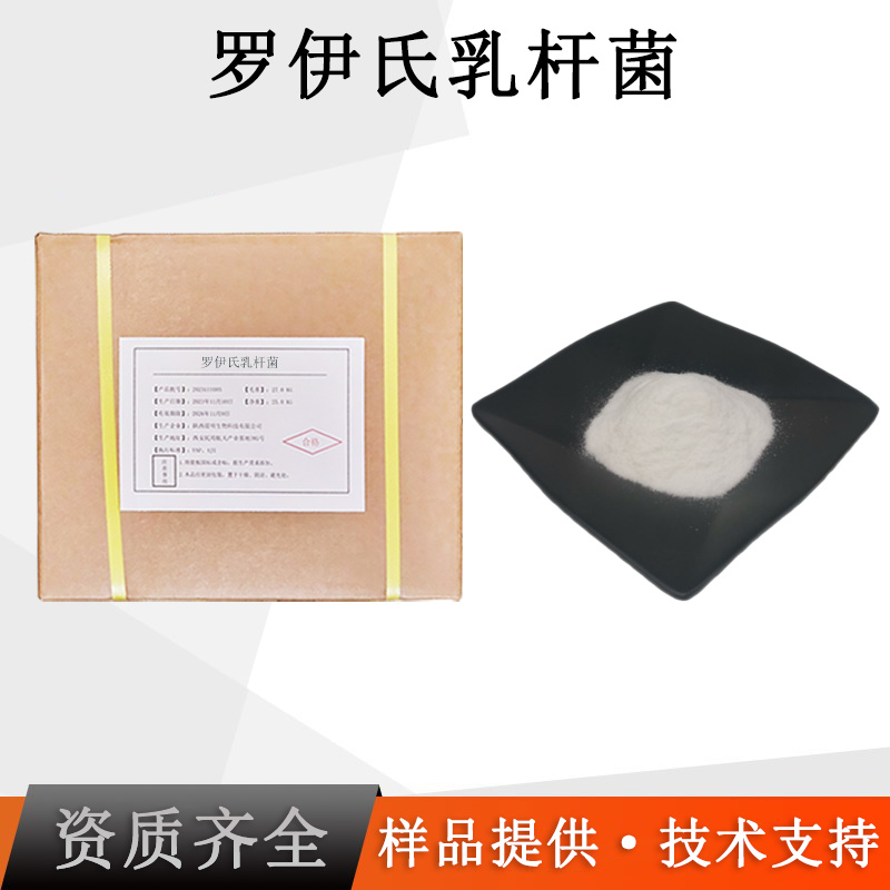 罗伊氏粘液乳杆菌厂家