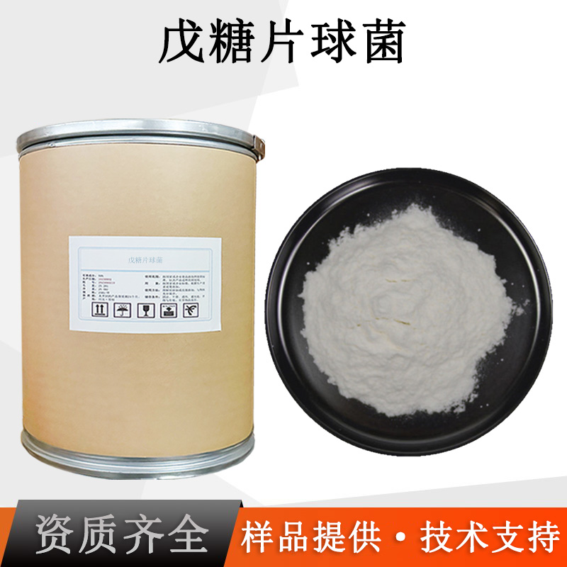 戊糖片球菌厂家