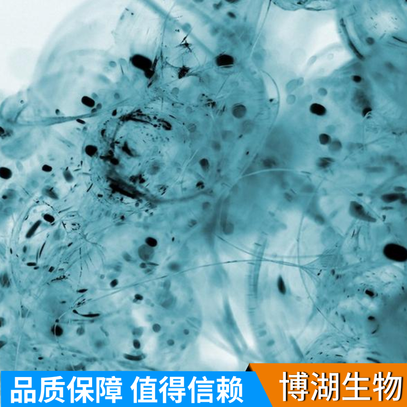 SNB-19人脑胶质瘤细胞专用培养基