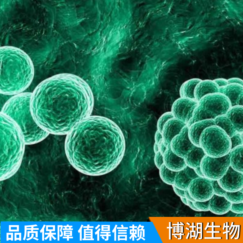 smmc-7721人肝癌细胞专用培养基