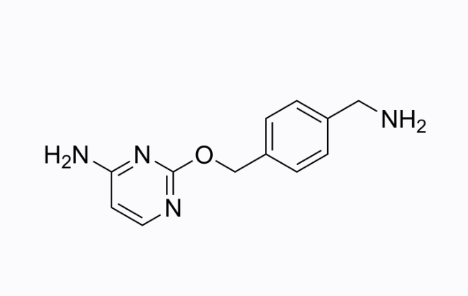 1004524-64-4；BC-NH2；BC-氨基；CLIP-NH2