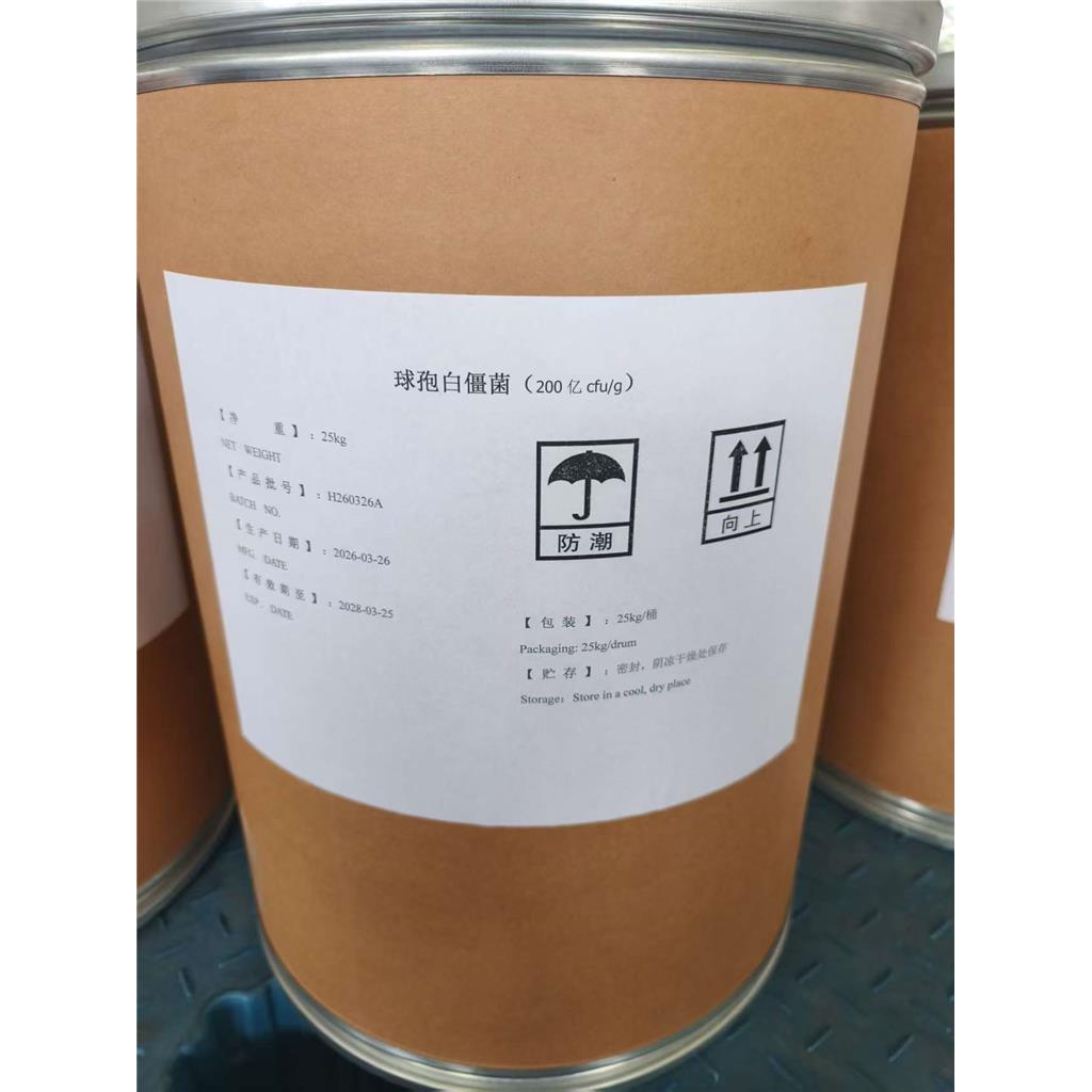 球孢白僵菌