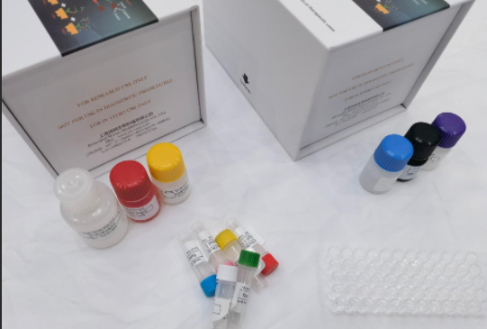 小鼠p300乙酰转移酶(p300-HAT)ELISA试剂盒