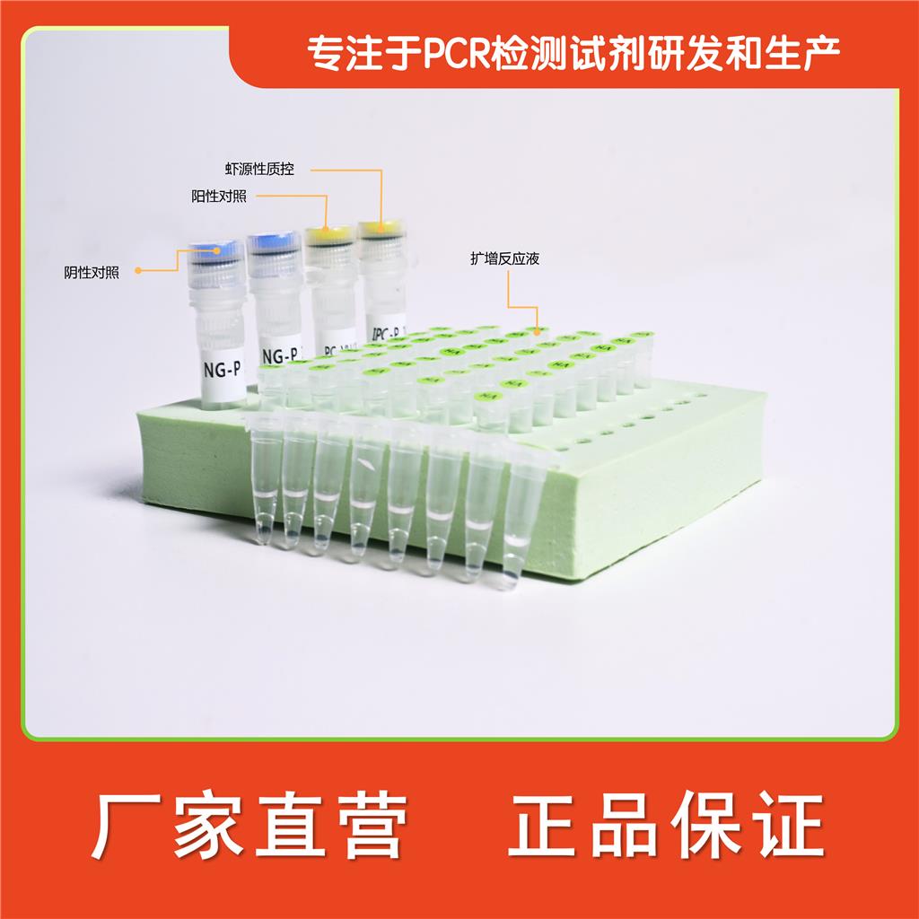 马源性成分核酸检测试剂盒（PCR-荧光探针法）