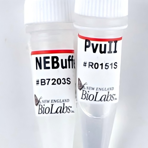 NEB(New England Biolabs)产品国内一级代理