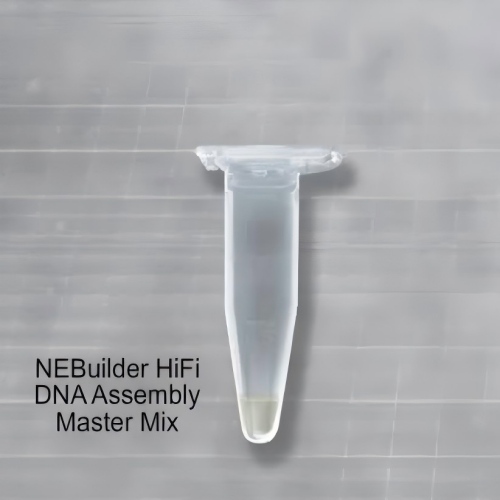 NEB(New England Biolabs)产品国内一级代理