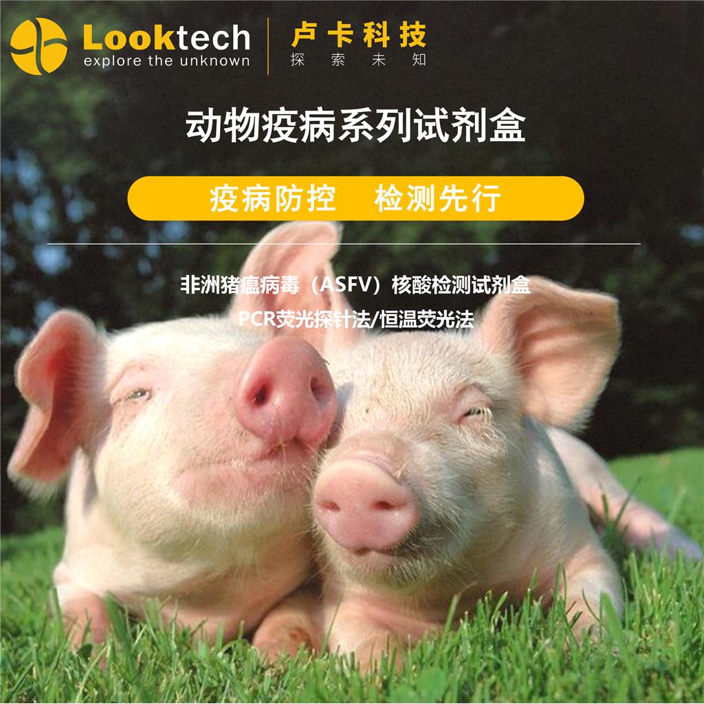 驴源性成分核酸检测试剂盒       （PCR-荧光探针法）