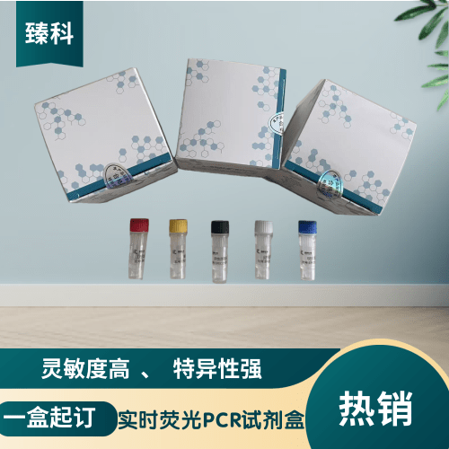 C型产气荚膜杆菌(CP-C)核酸检测试剂盒(荧光-PCR法)