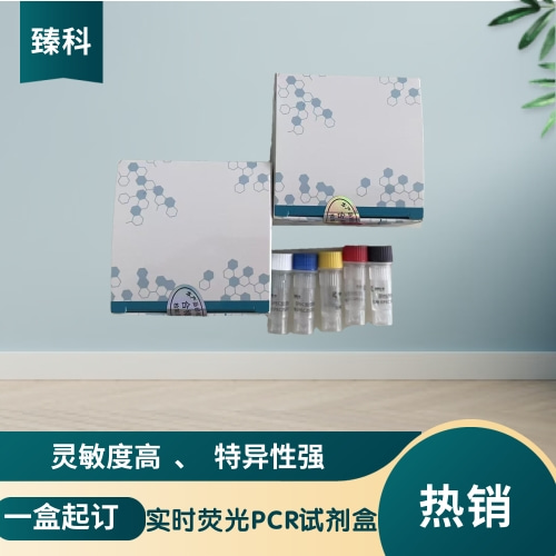 鼠疫杆菌（YP-PLA/CA/3A）核酸检测试剂盒(荧光-PCR法)