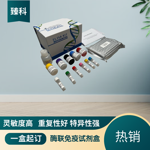 人降钙素(CT）elisa定量试剂盒