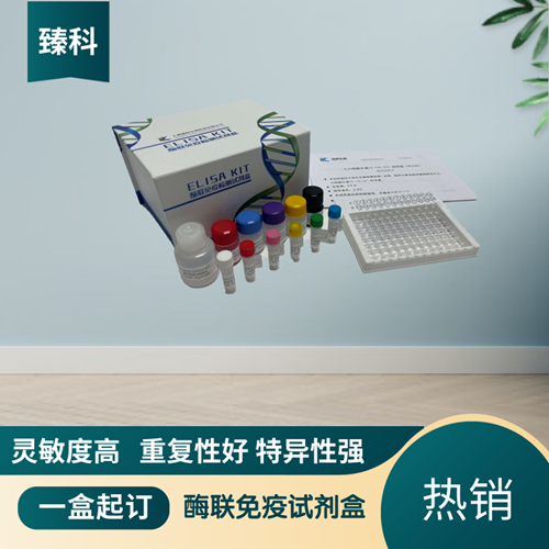 人结核菌素(Tuberculin）elisa定量试剂盒