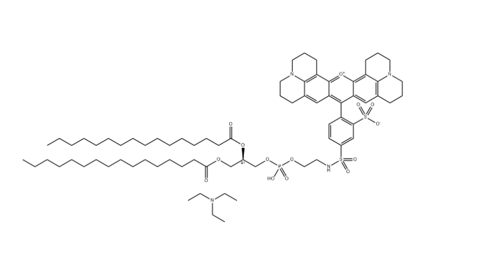 187099-99-6；SULFORHODAMINE 101 DHPE；Texas Red-DHPE