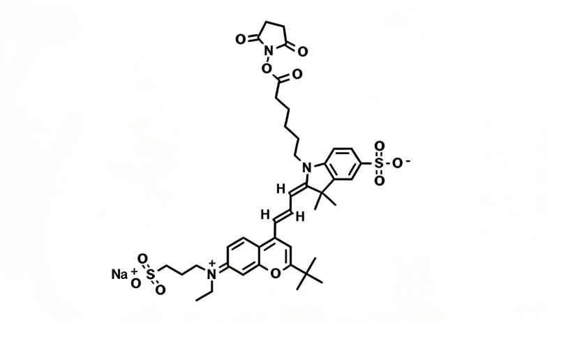 Fluorescent red 633 NHS；荧光红633琥珀酰亚胺酯