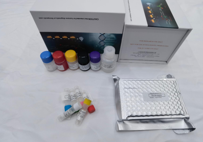 小鼠细胞色素cyp2c19(cyp2c19)ELISA试剂盒