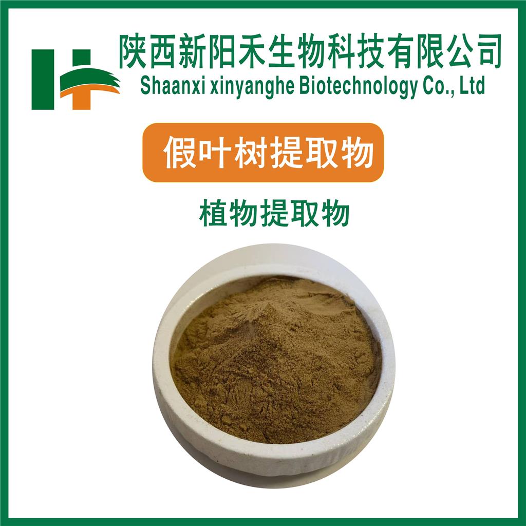 假叶树提取物     鲁斯可皂甙 