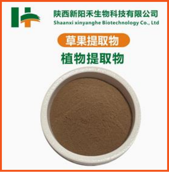 草果提取物