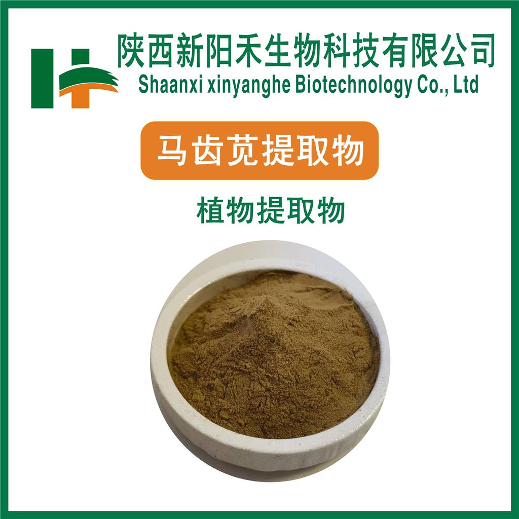 马齿苋提取物    水溶性马齿苋提取物
