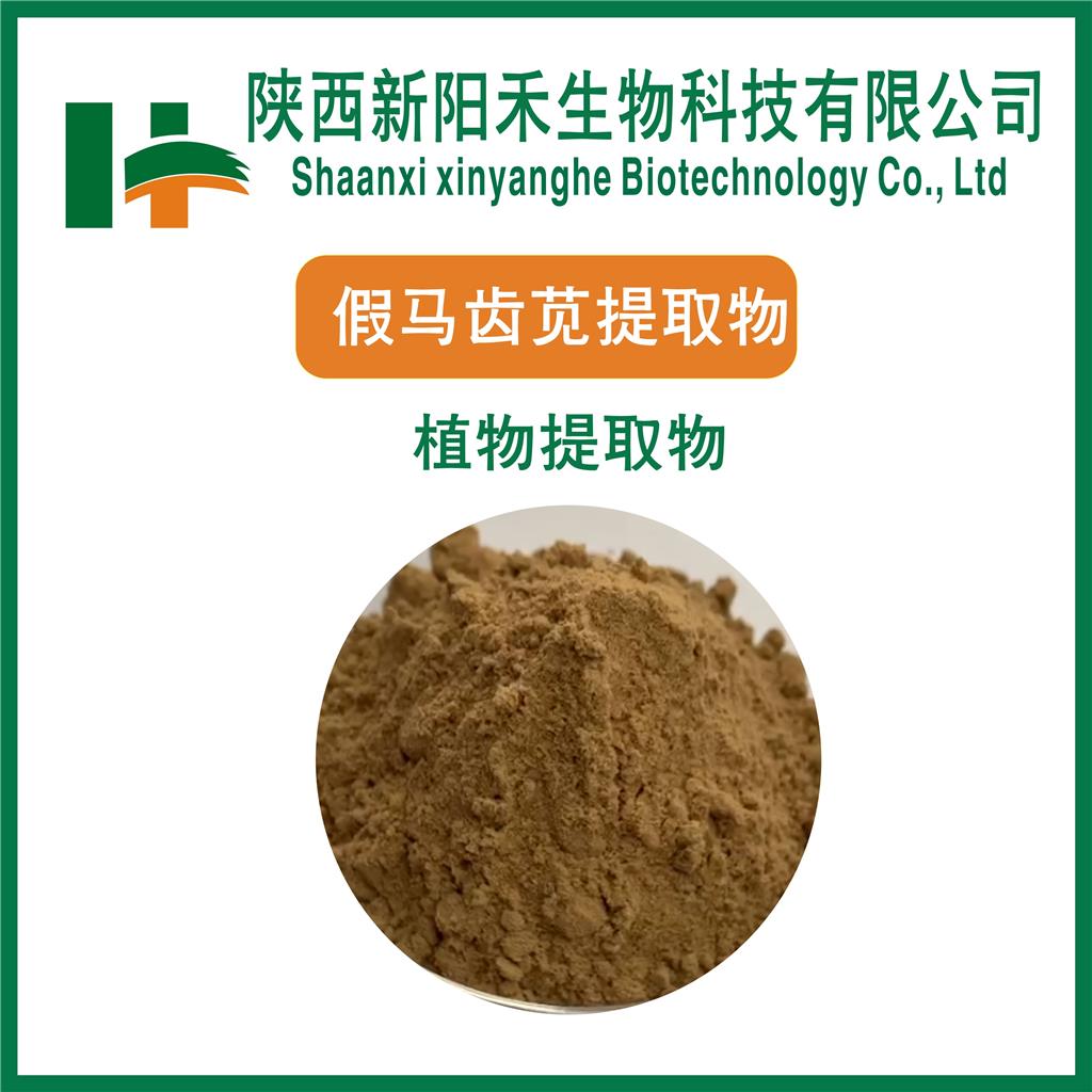 假马齿苋提取物        假马齿苋皂甙