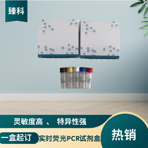 登革热病毒3型(DFV-III)核酸检测试剂盒(荧光-PCR法)