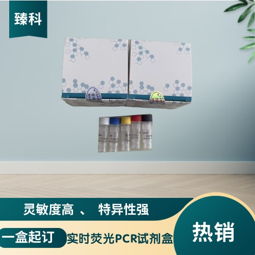 寨卡（zika）病毒核酸检测试剂盒（荧光-PCR法）