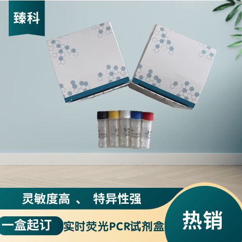 EB病毒(EBV)核酸检测试剂盒(荧光-PCR法)