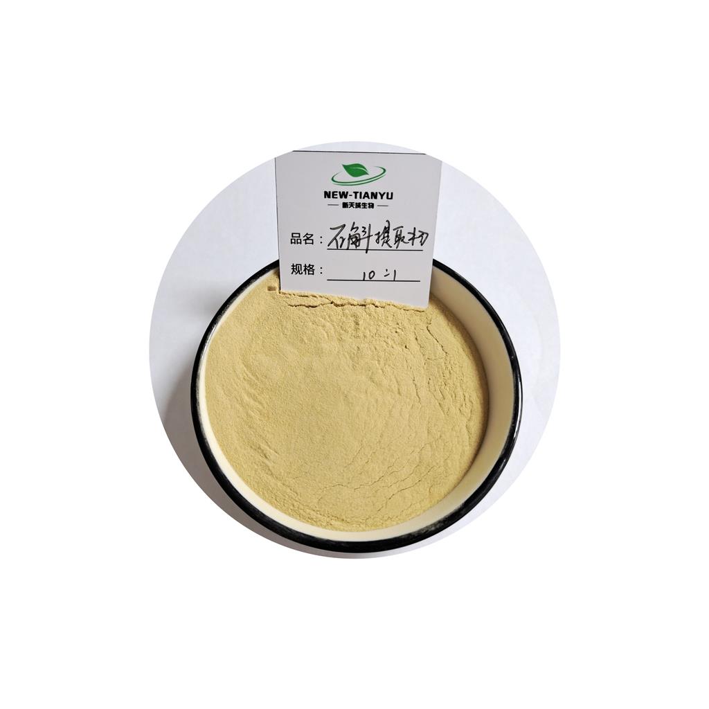 石斛提取物     石斛粉