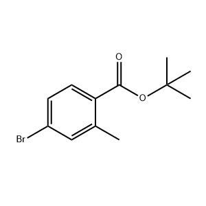 aladdin 阿拉丁 T679355 4-溴-2-甲基苯甲酸叔丁酯 445003-37-2 ≥97%