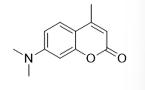 7-二甲基氨基-4-甲基香豆素