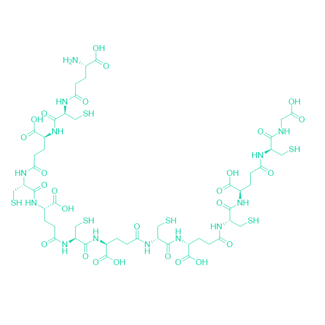 金属结合化合物PC 6/99478-30-5/Phytochelatin 6