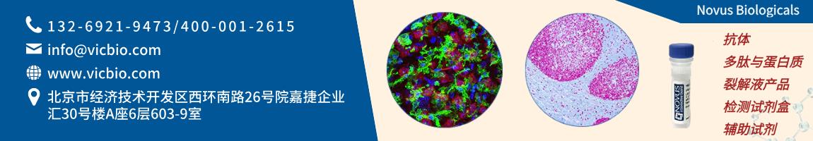 NovusBiologicals页面.png