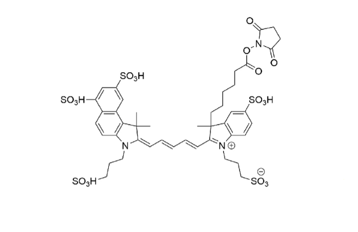 AZDye 660 NHS Ester；AZDye 660 琥珀酰亚胺酯