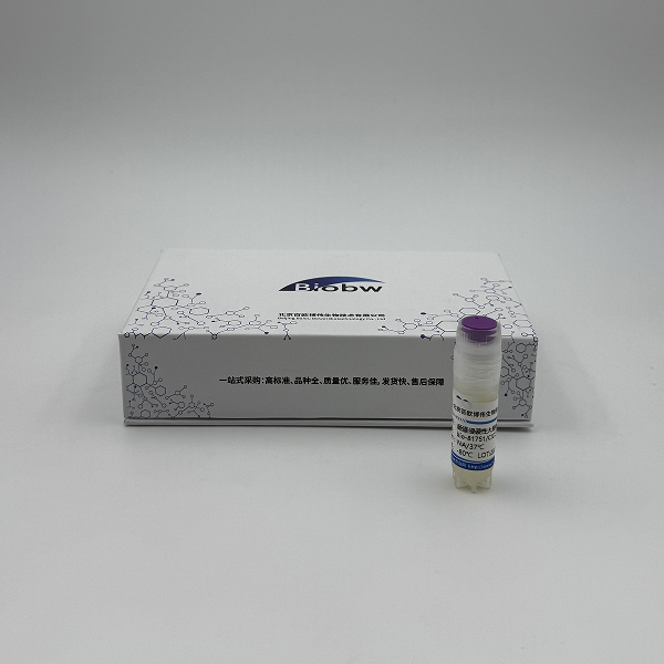 Klebsiella pneumoniae