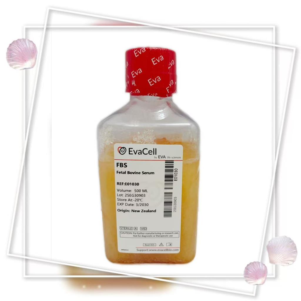 胎牛血清 （新西兰）