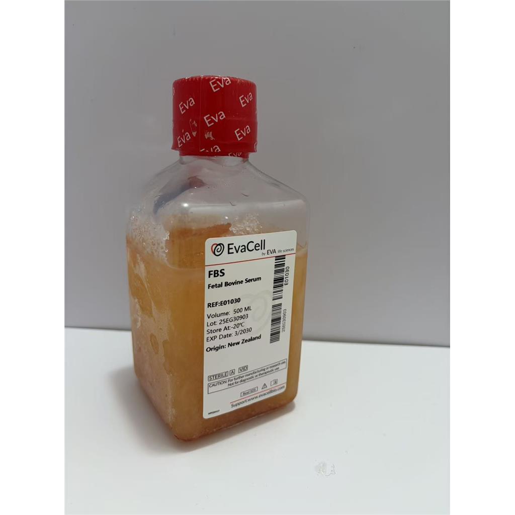 胎牛血清 （新西兰）