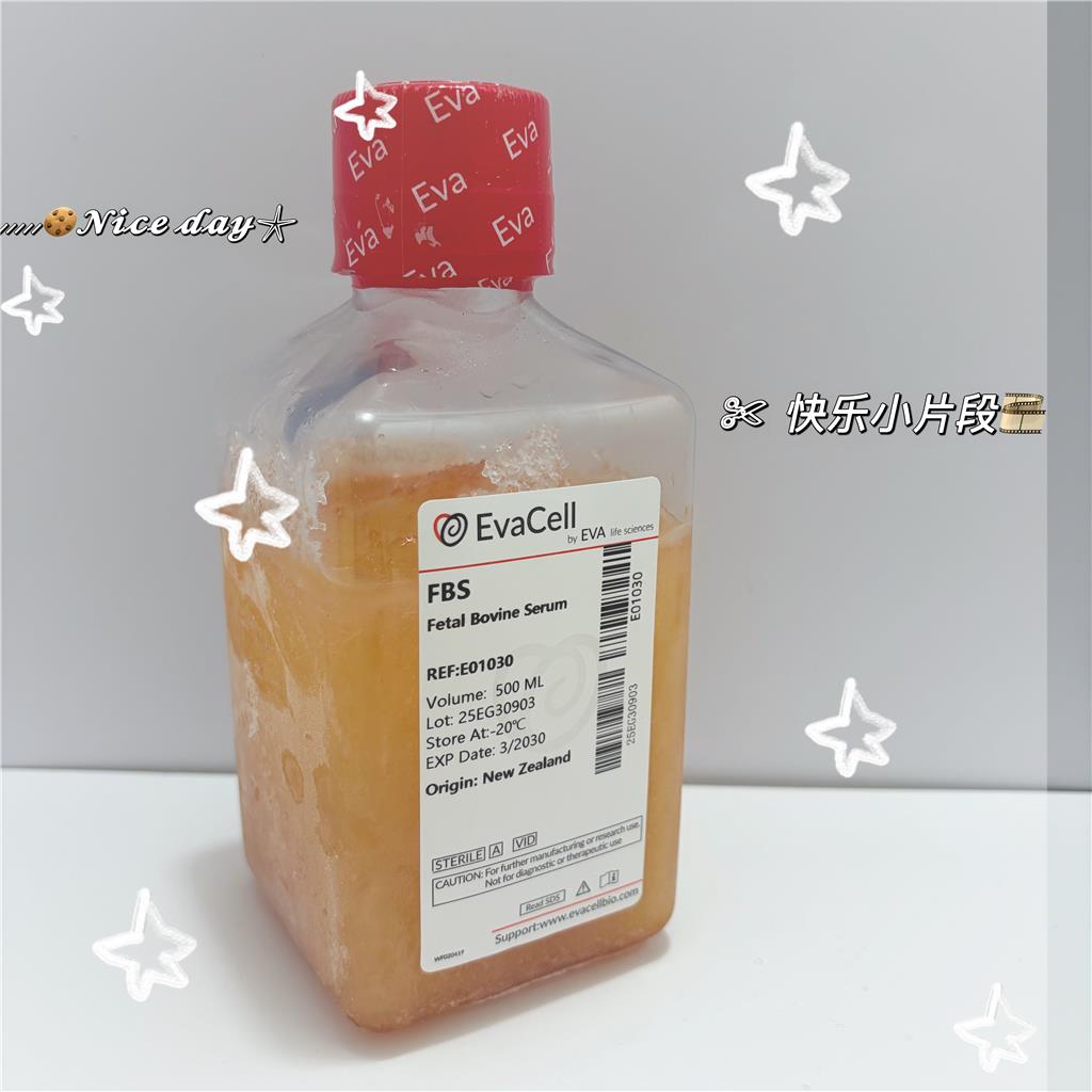 胎牛血清 （新西兰）