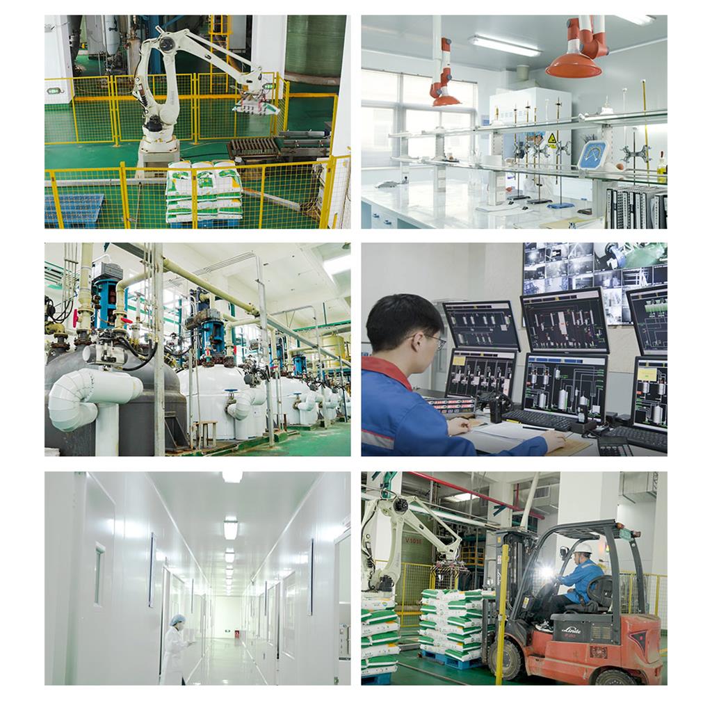 甘氨酸甜菜碱 高纯度原粉厂家直供