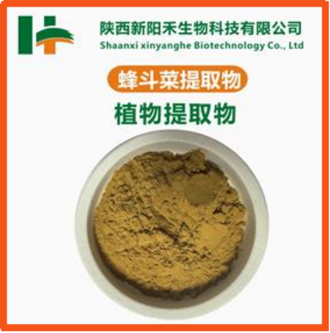 蛇头草提取物