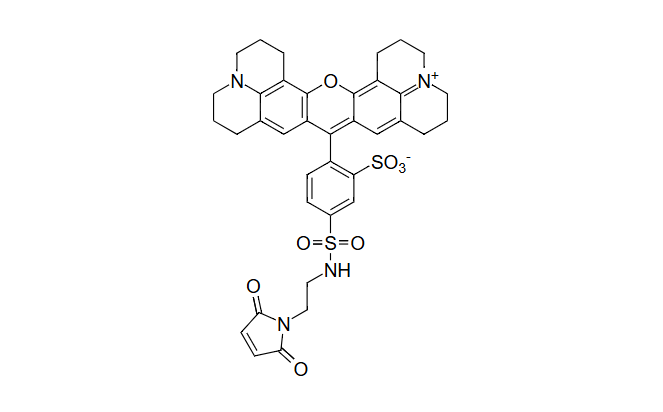 Texas Red maleimide；德州红-马来酰亚胺