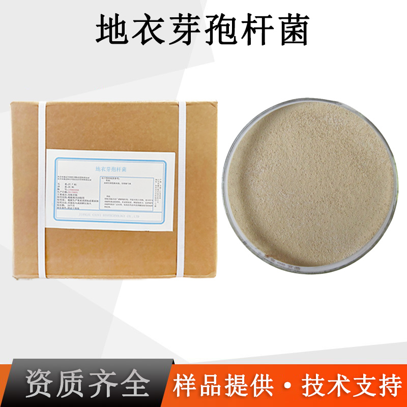 地衣芽孢杆菌