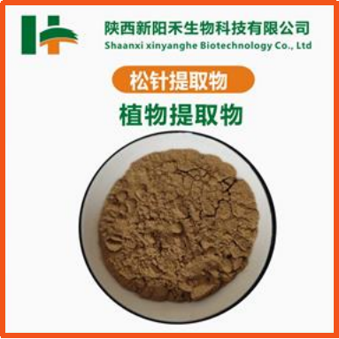 松针提取物