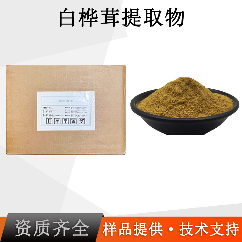 白桦茸提取物